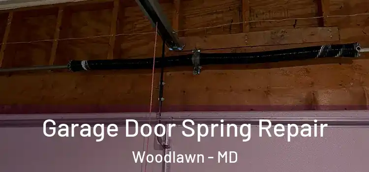 Garage Door Spring Repair Woodlawn - MD