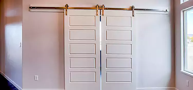Glass Barn Door with Installation Hardware Kit Woodlawn