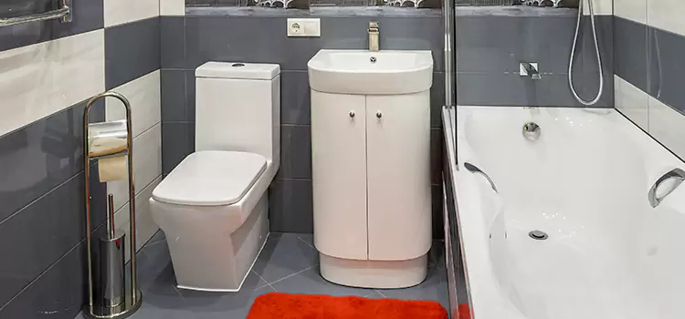 Hansgrohe Shaving Mirror Woodlawn